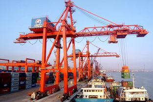 双星闪耀珠江口 黄埔布局两大邮轮码头，构筑大湾区旅游新枢纽