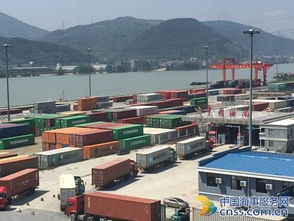 富阳东洲码头海关监管场所喜迎“开门红” 高标准建设与智慧化管理双轮驱动