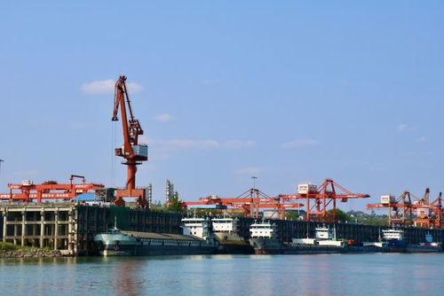 奋战红五月，泸州水运吹响发展进军号 码头建设与管理并举，激活长江上游黄金水道