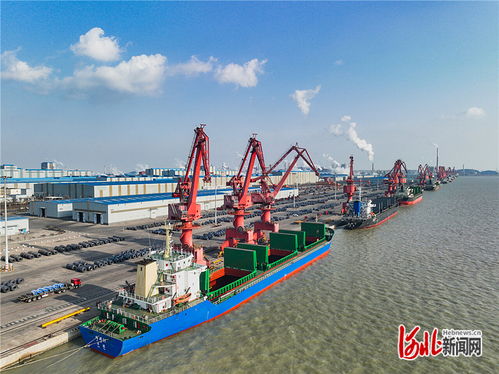 京津项目落地助推曹妃甸协同发展 跨地区产业合作新模式引领码头建设与管理创新
