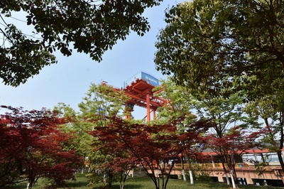 构筑长江滨江生态长廊 梅钢打造全球钢铁业最绿工厂的码头建设与管理实践