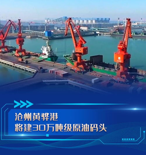 河北项目建设高歌猛进 码头建设与管理汇聚发展新动能